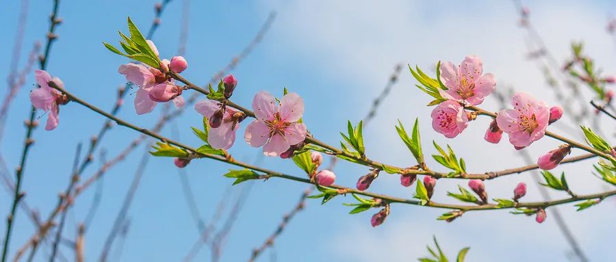 6个步骤教你有效应对内心焦虑和恐惧情绪