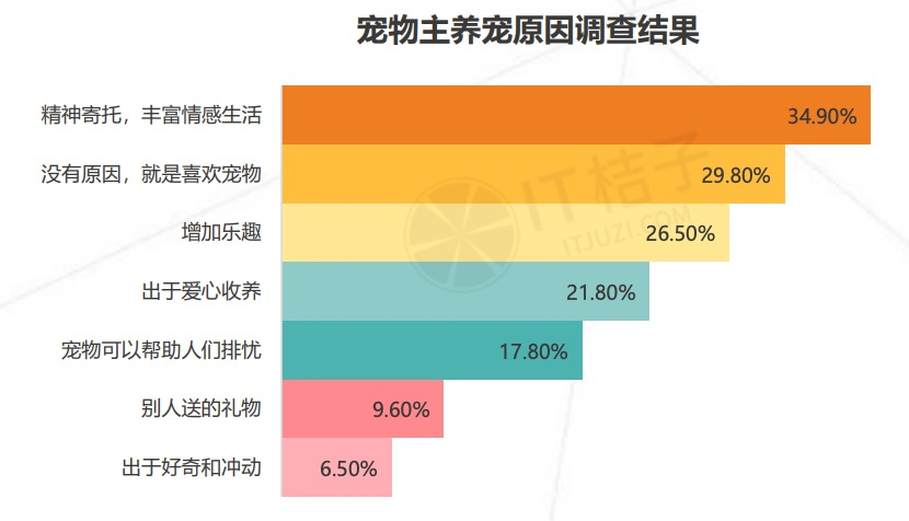 宠物的陪伴可以提升人的幸福感