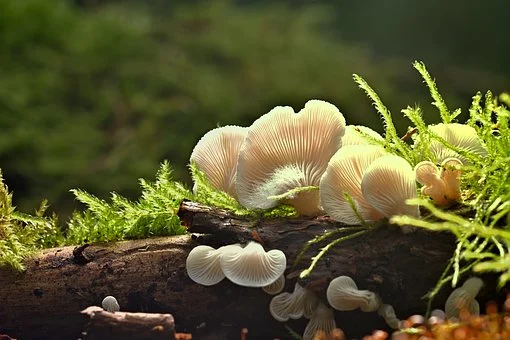 细节决定一切——求职需注意