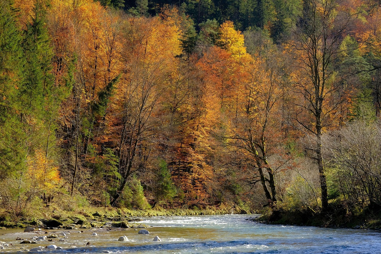 成年人应秉持的清醒社交观念 成年人应秉持的清醒社交观念
