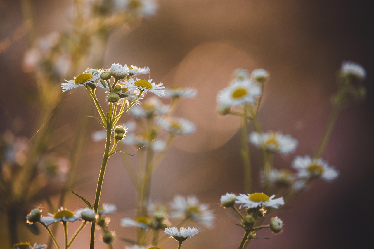 昔日笃定一生挚友，终在时光中走散